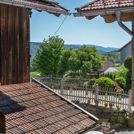 Apartment Stod'l *